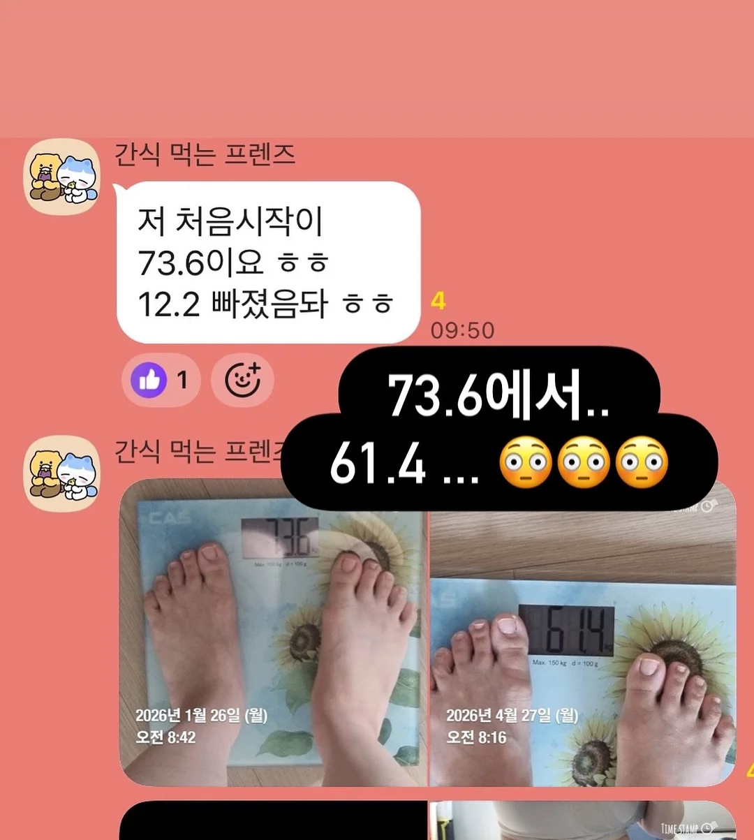 반려동물 쿨매트 2