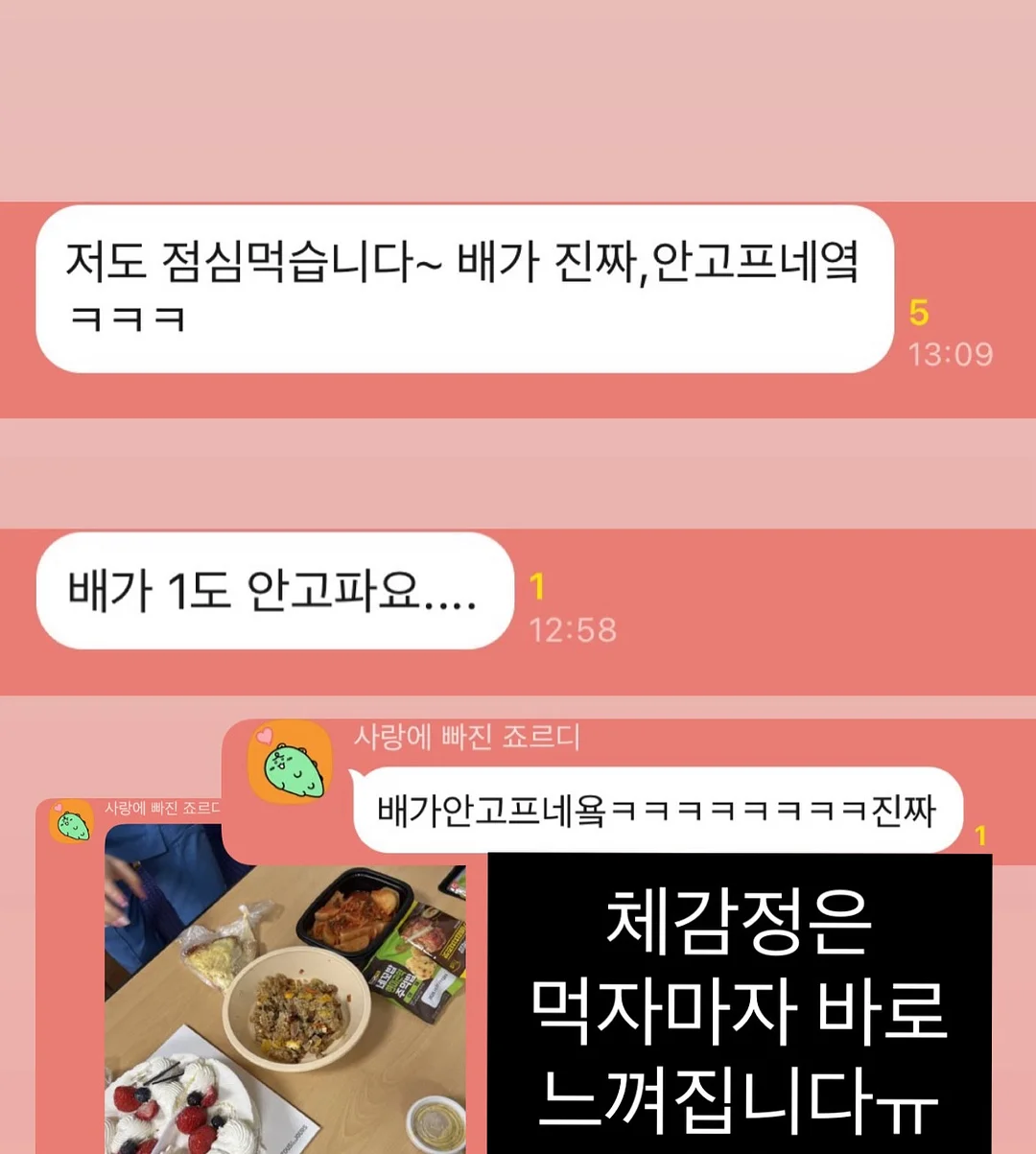 반려동물 쿨매트 3