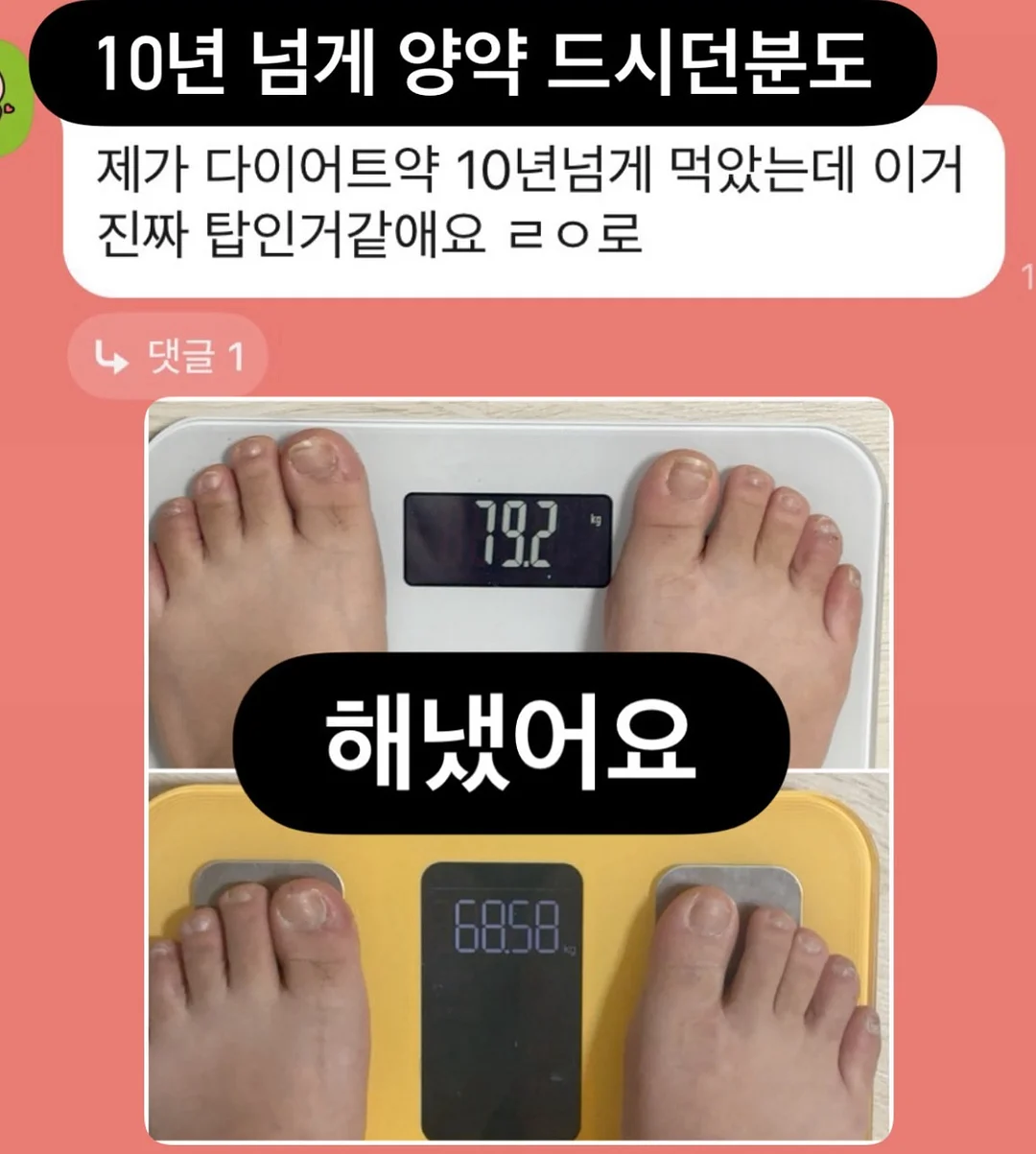 반려동물 쿨매트 4
