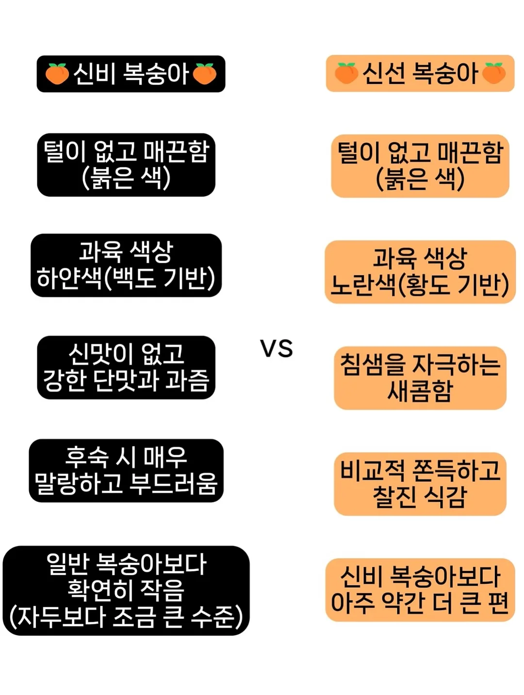벨르제이 블랙 바닐라빈 스크럽 마스크 11