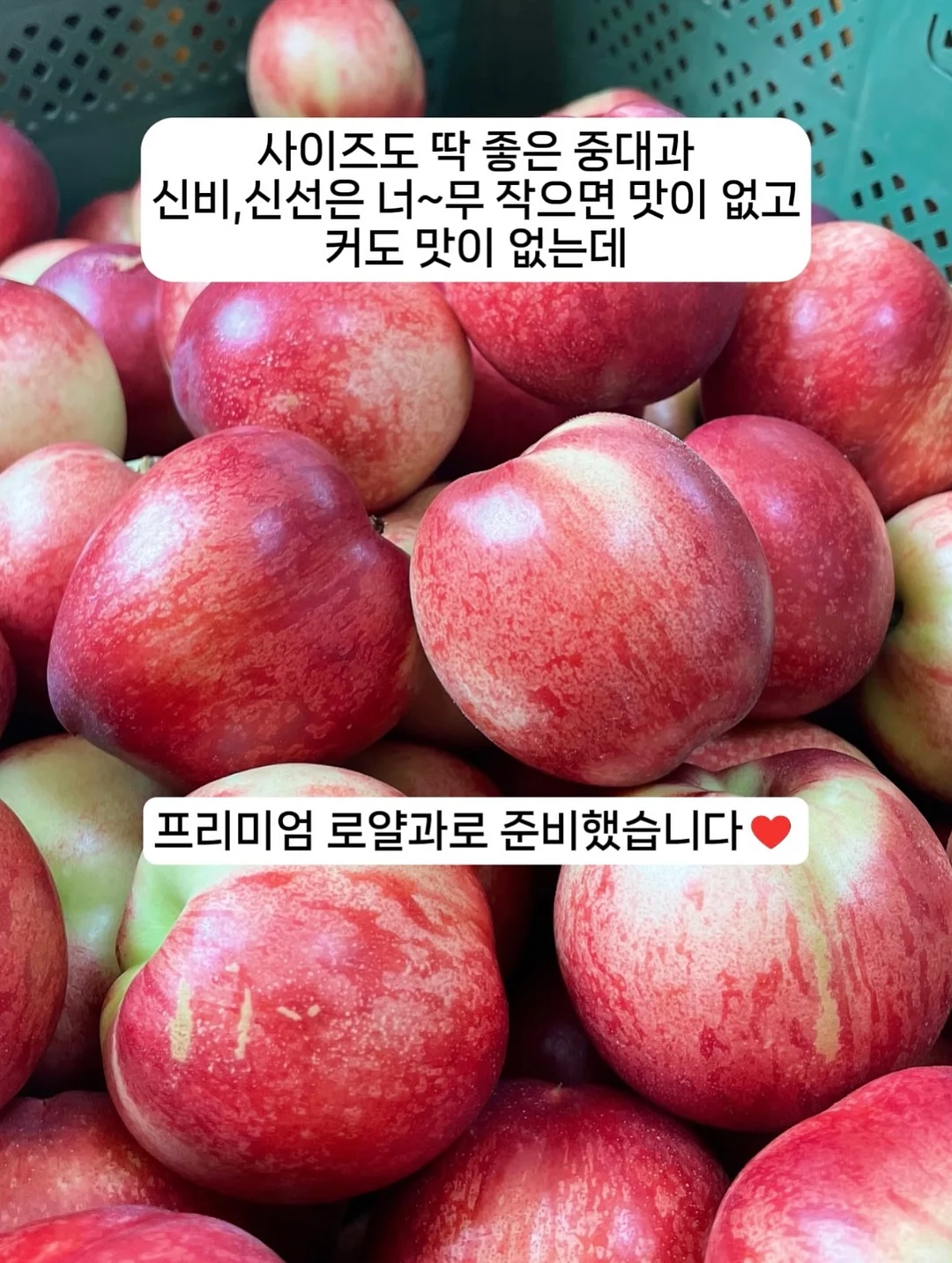 벨르제이 블랙 바닐라빈 스크럽 마스크 4