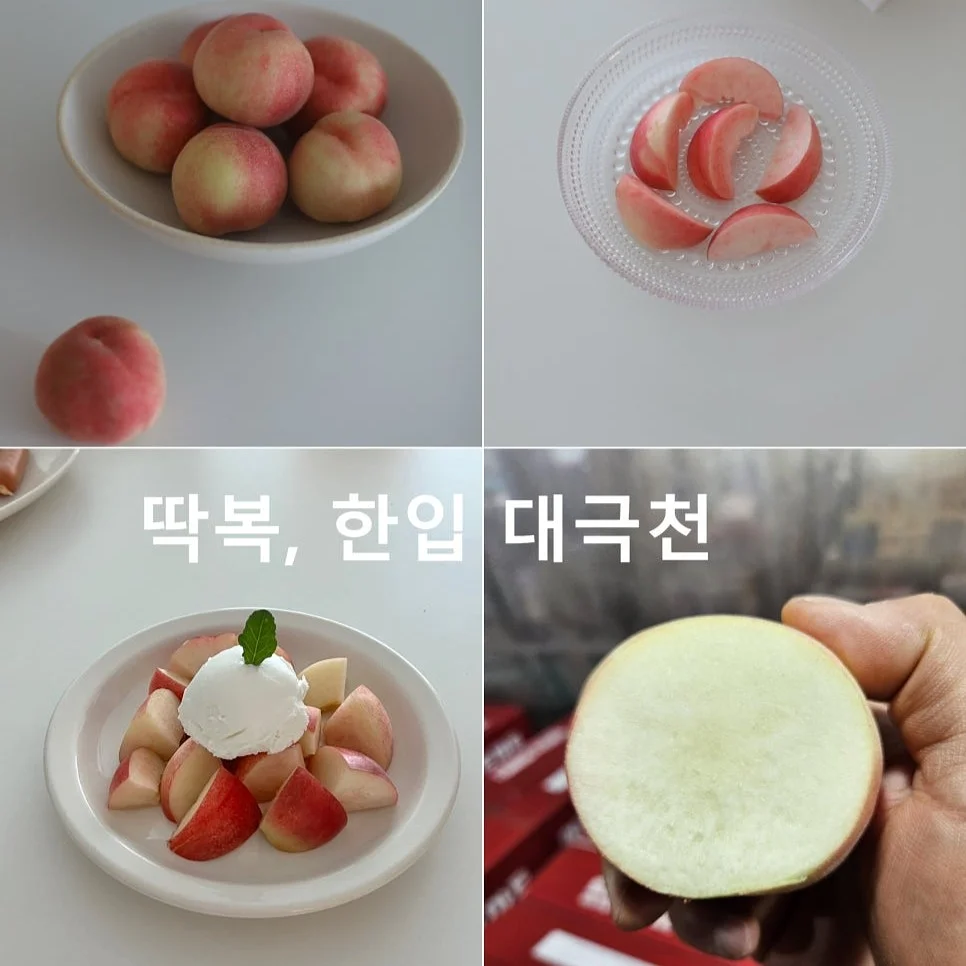 분홍빛 꽃바구니 4