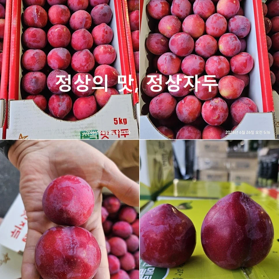 분홍빛 꽃바구니 6