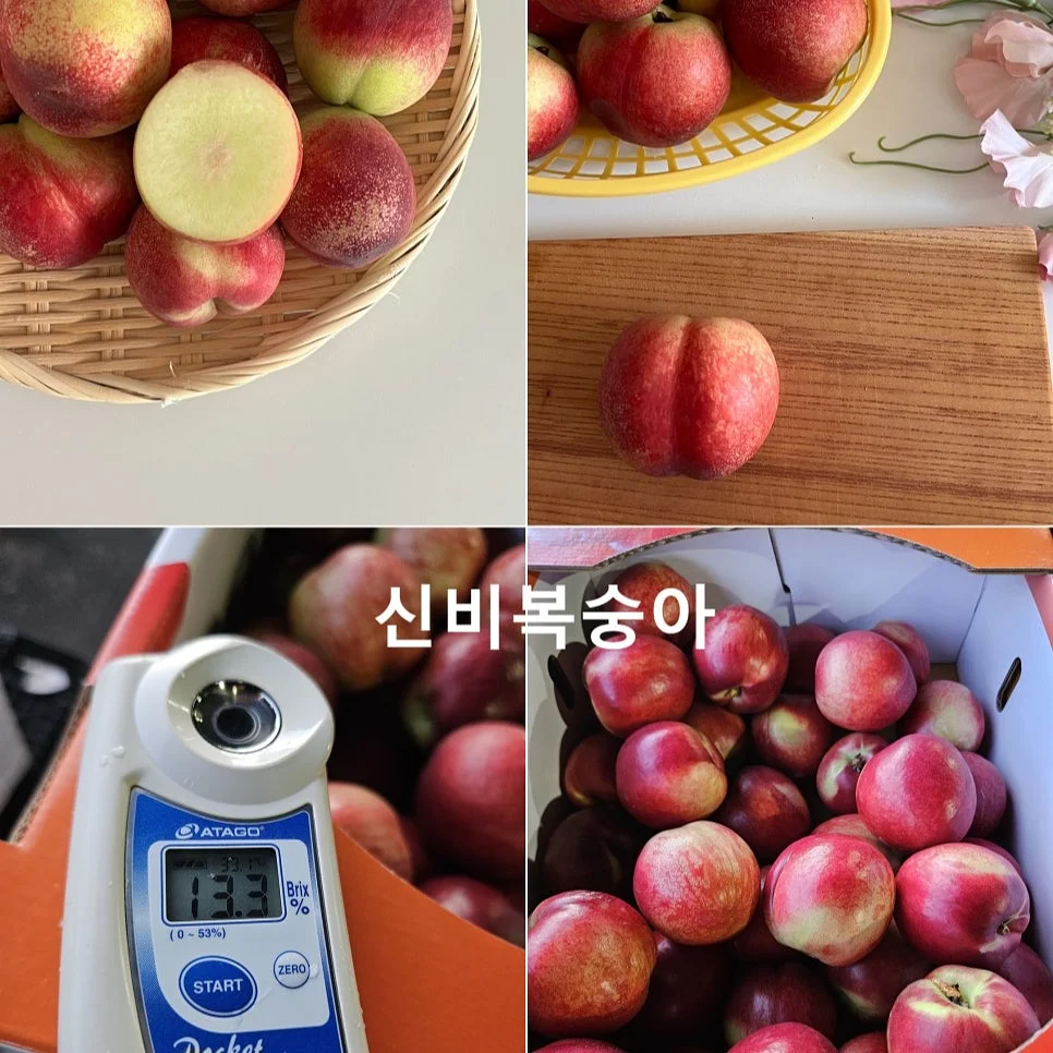 분홍빛 꽃바구니 7