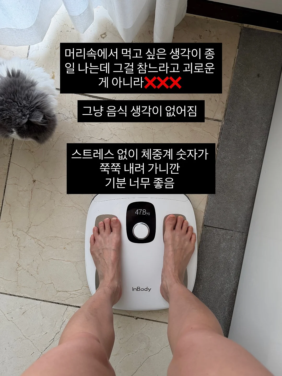 뽀로로 서프라이즈 백 3탄 4