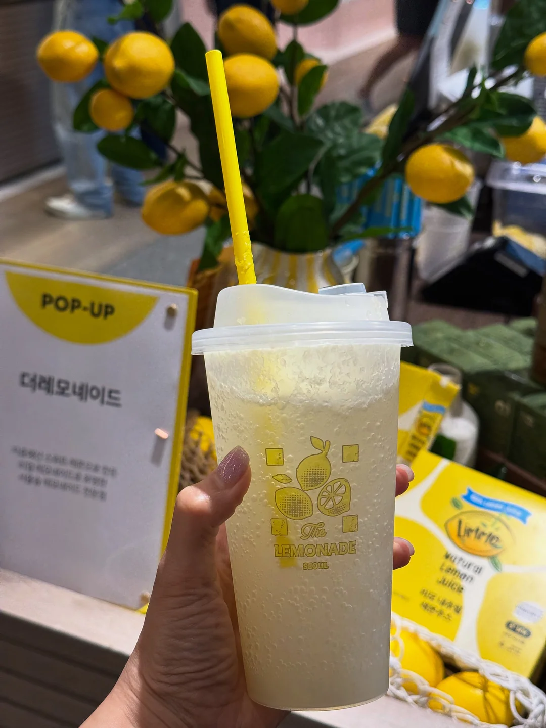 조아트 내추럴 그레이 그린 크리스마스 트리 2