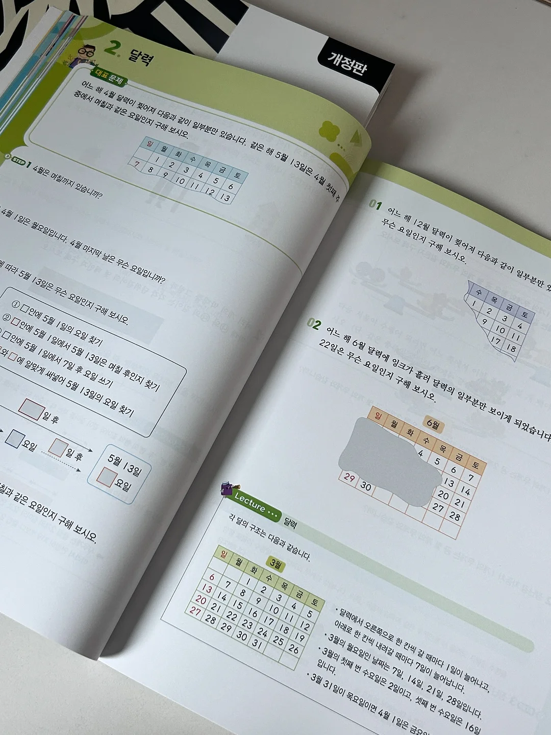 데이지라피아햇 16