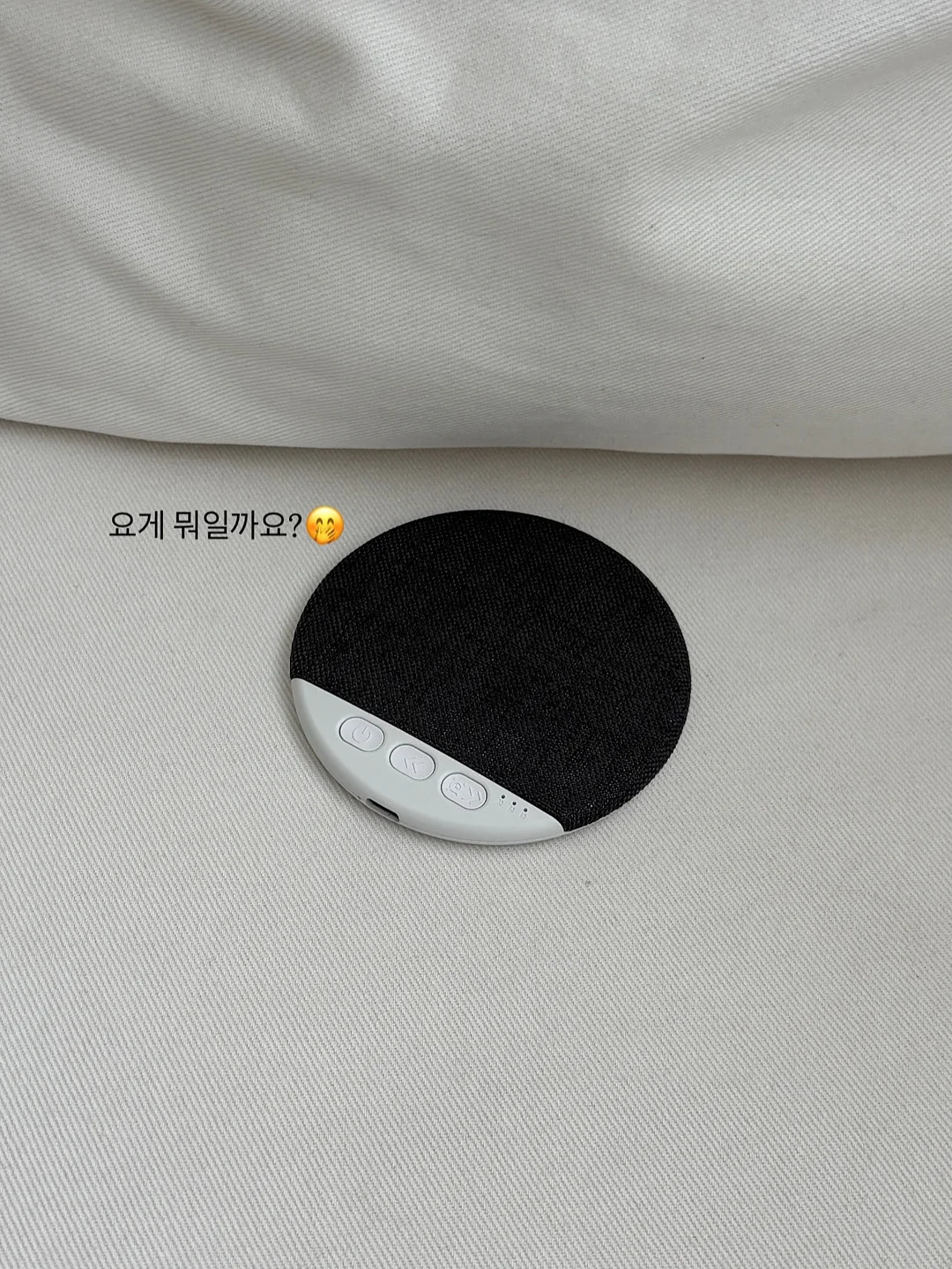 깻잎김치 1