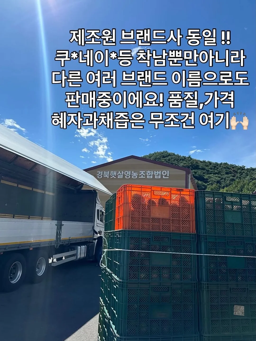 인견 화이트 소파패드 10