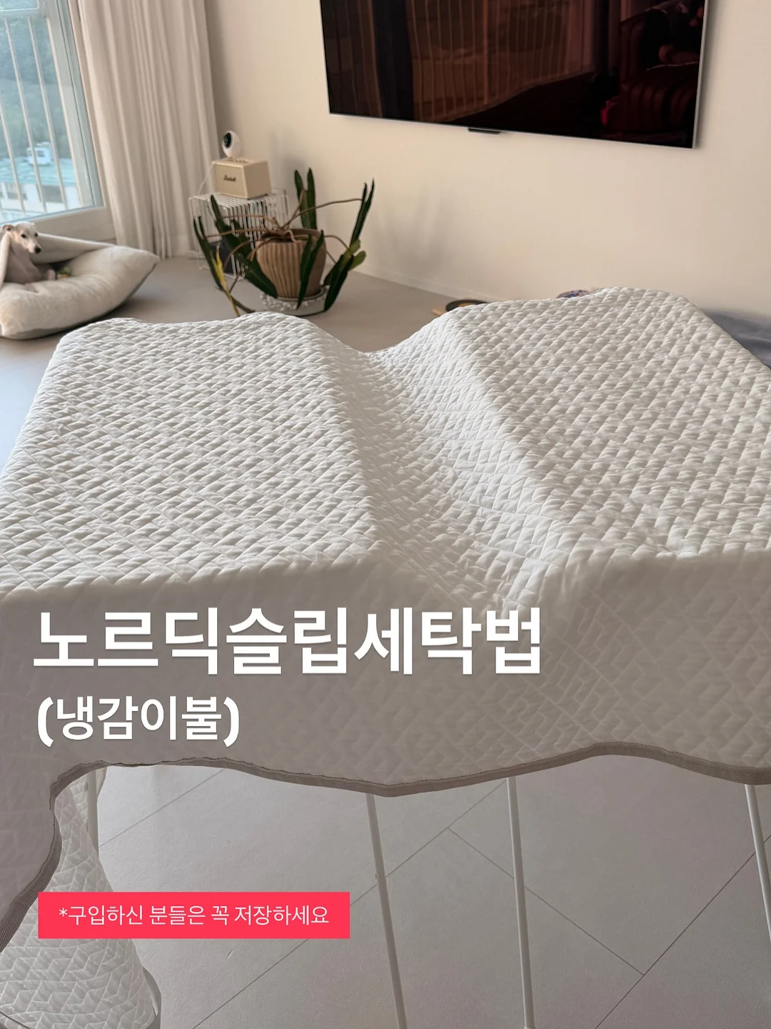 초코캣 30주년 굿즈 1