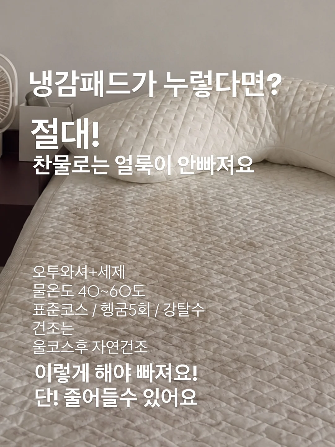 초코캣 30주년 굿즈 4