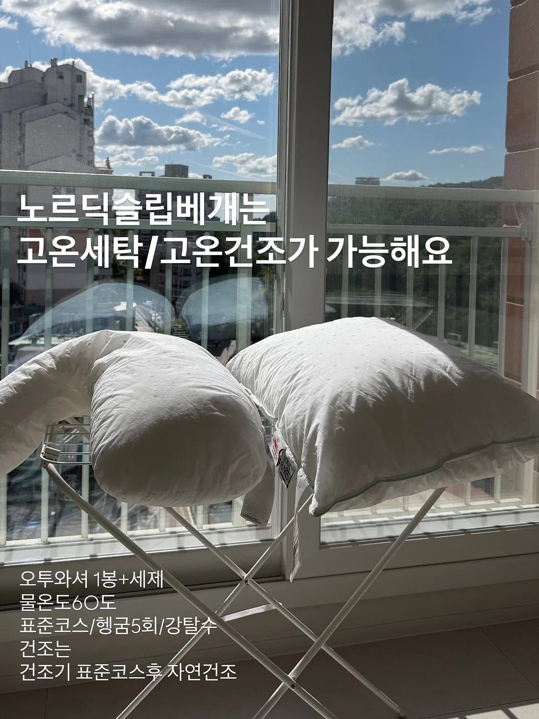 초코캣 30주년 굿즈 7