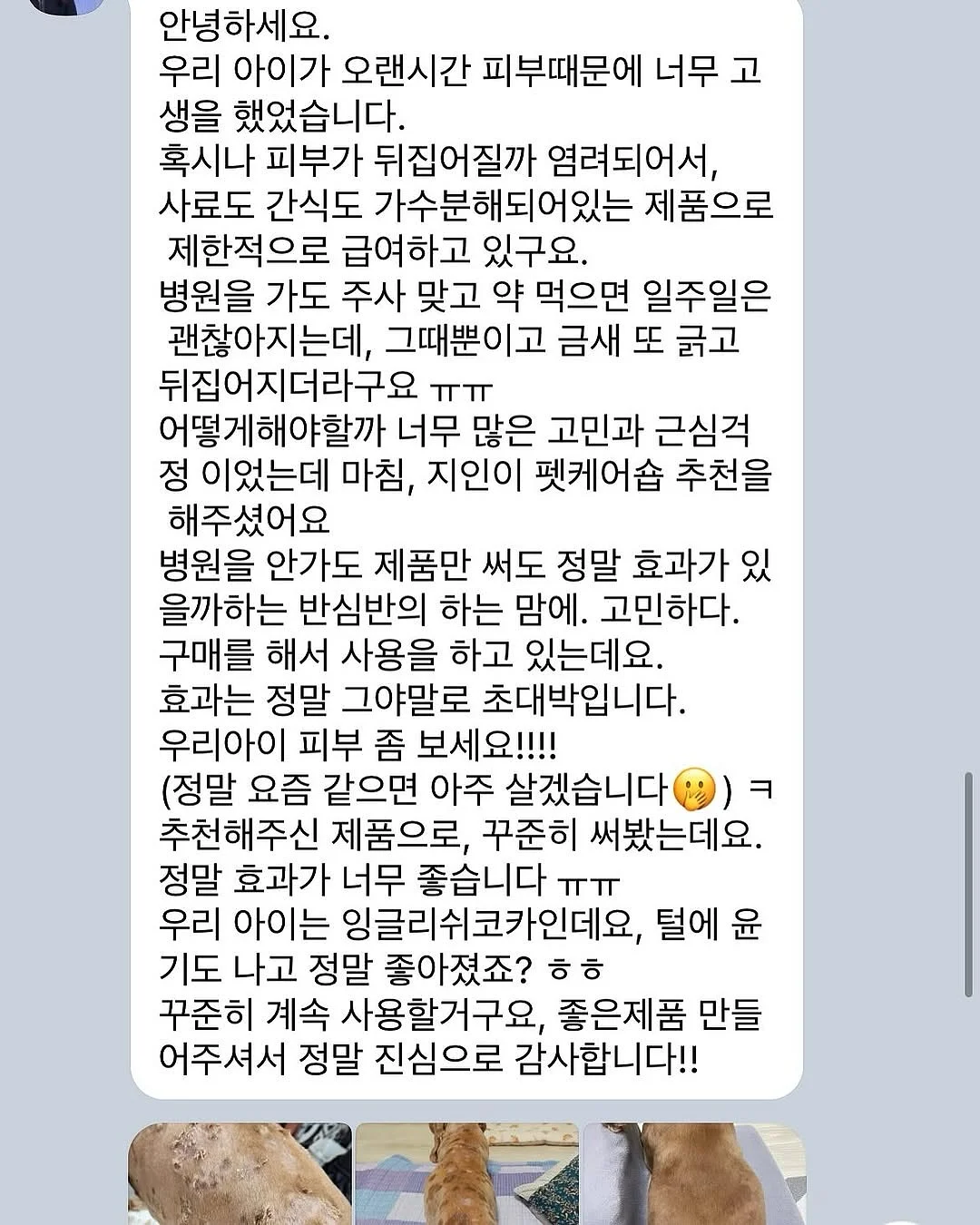 김장놀이 세트 4