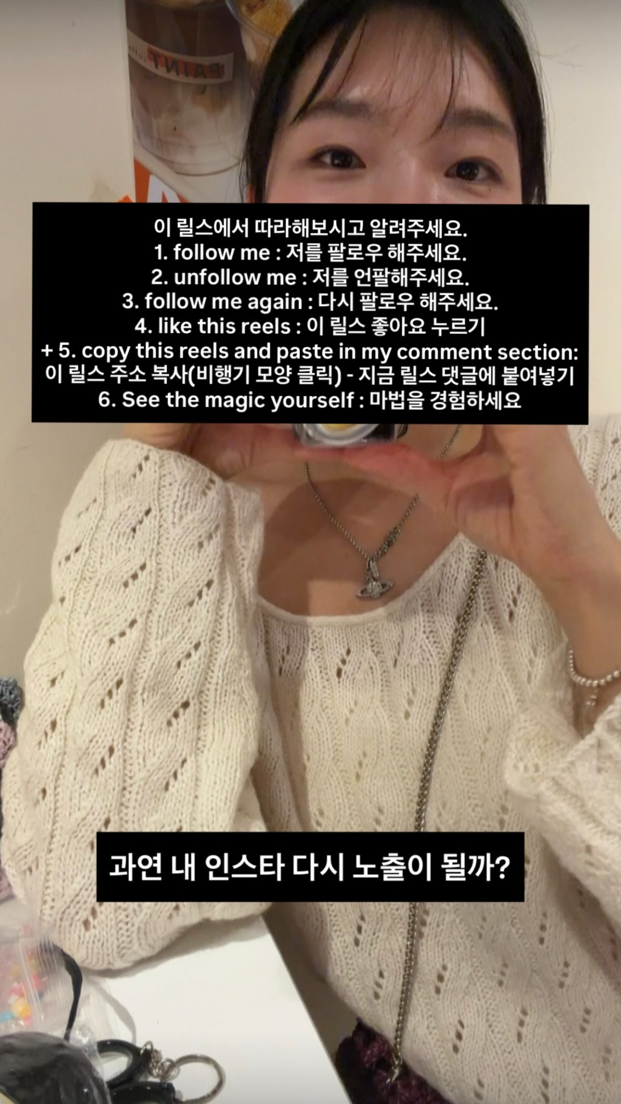 호접난 화분 수업