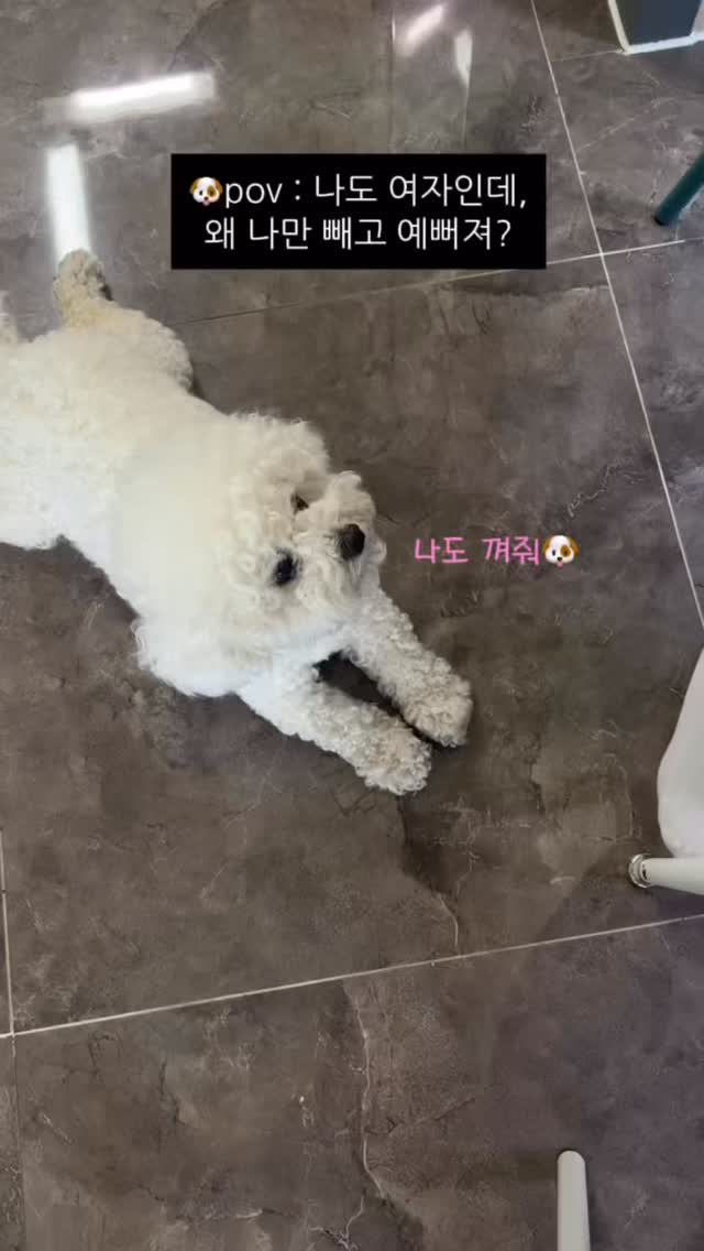 수학책