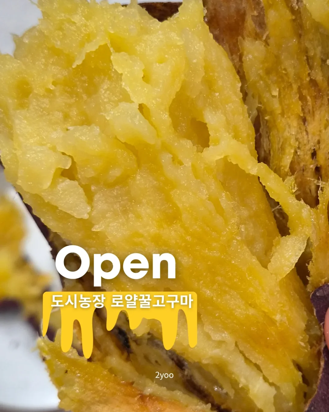 심리학과 생기부 주제 1