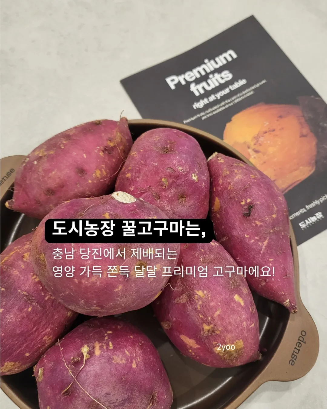 심리학과 생기부 주제 2
