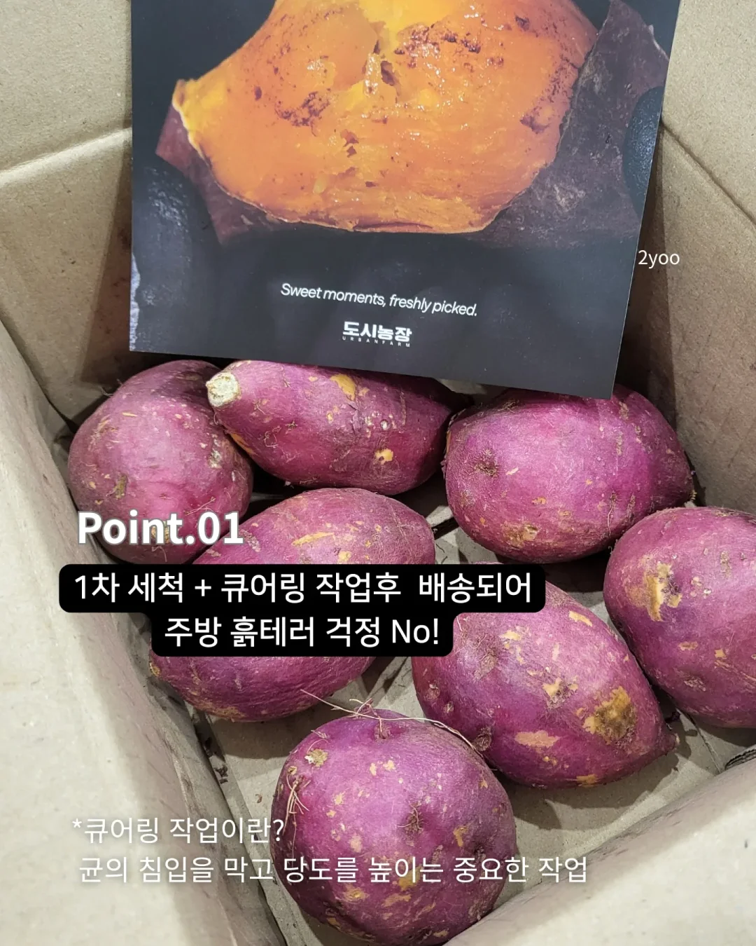 심리학과 생기부 주제 3