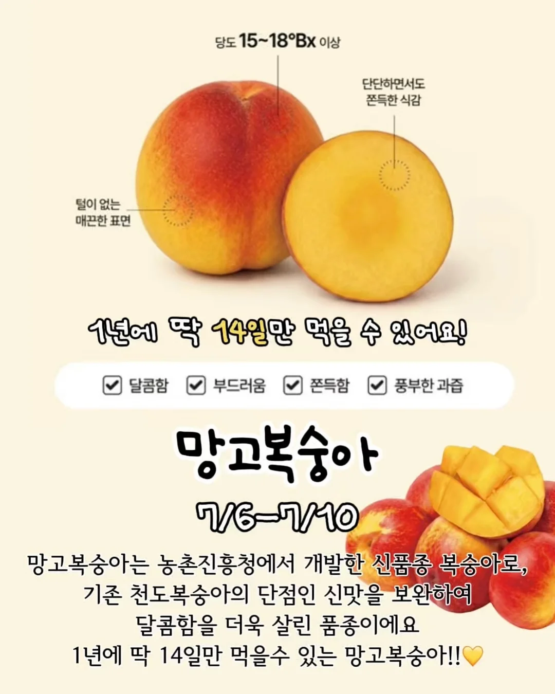 pouta summer 플레이 실내복 세트 2