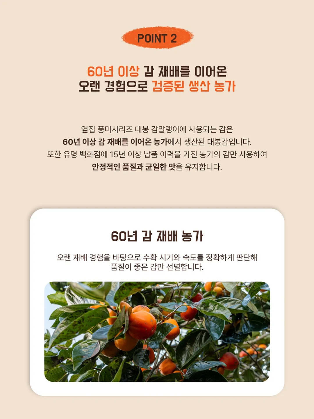 더마글로우 수분 충전 스킨케어 12