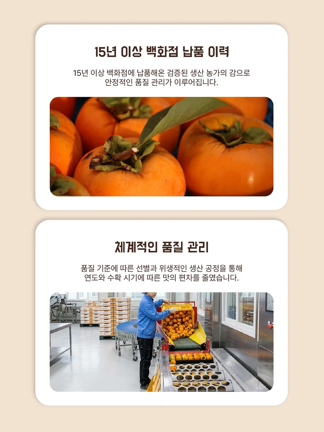 더마글로우 수분 충전 스킨케어 13