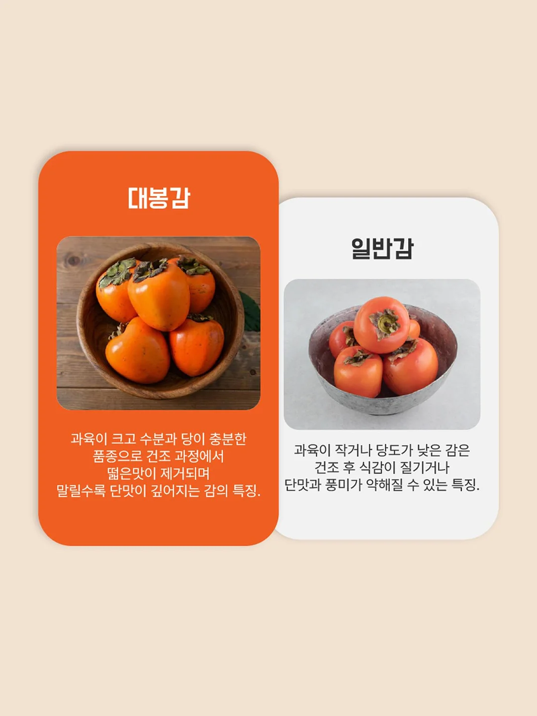 더마글로우 수분 충전 스킨케어 10