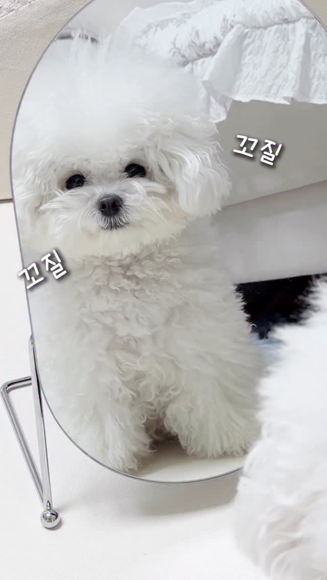 커비케이블여아오버올상하복