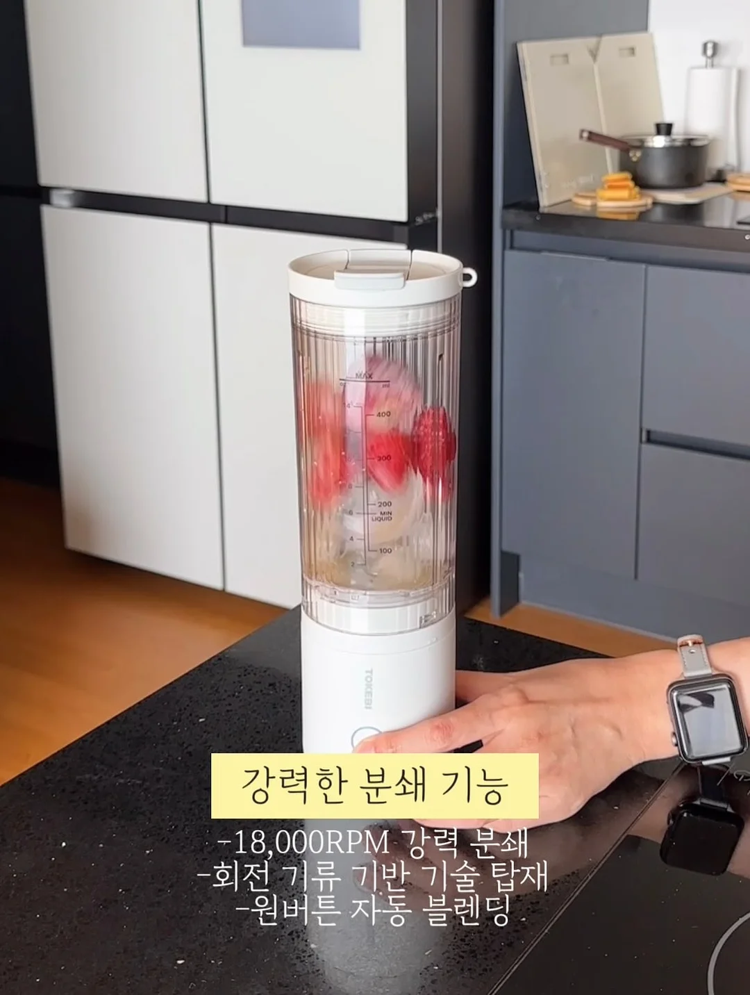 고양이 그래픽 티셔츠 2