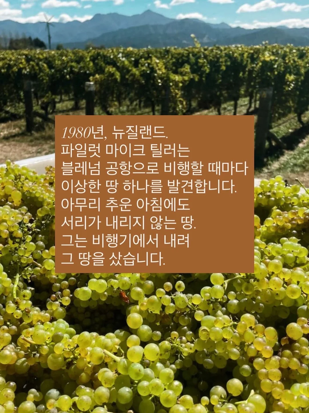쿠비 동물 치발기 패밀리 세트 2