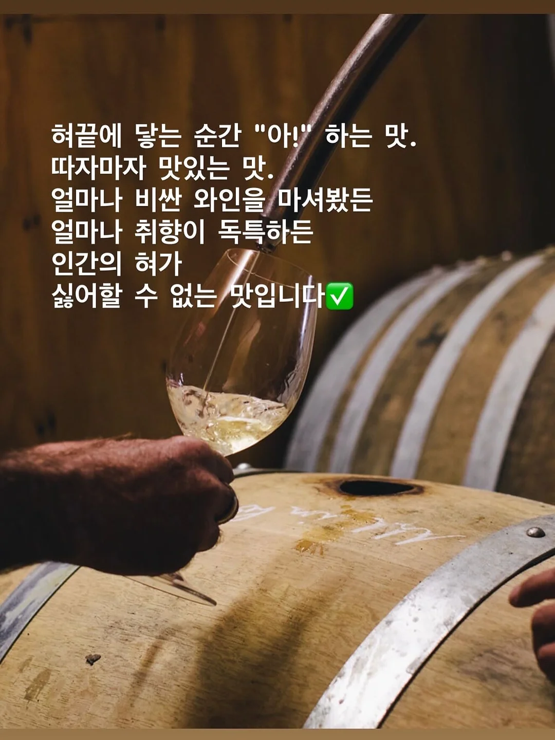 쿠비 동물 치발기 패밀리 세트 4