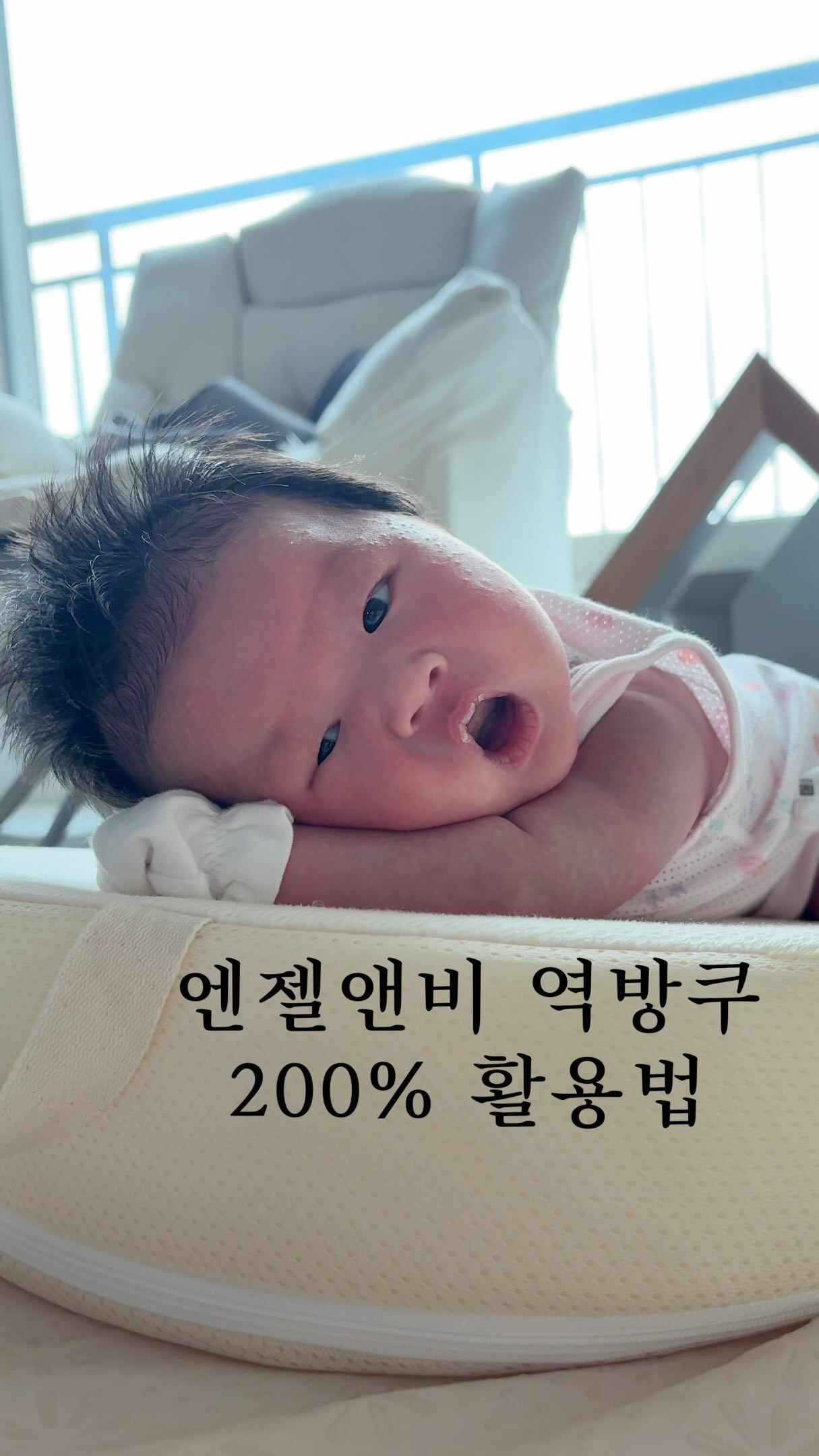 더블디 홀터나시