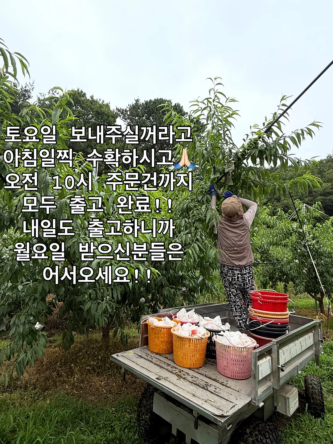 에어폴리 에어타프 PRO 3