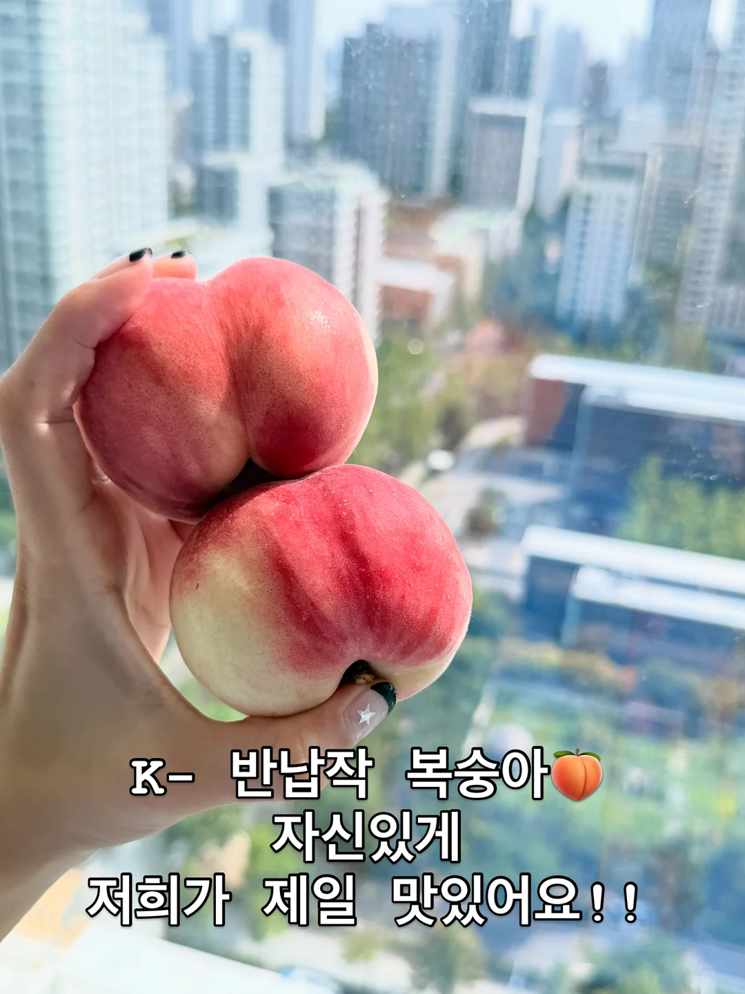 에어폴리 에어타프 PRO 8