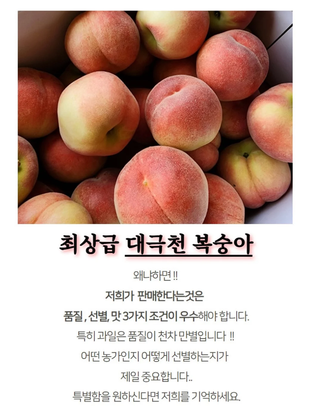 비눗방울 10