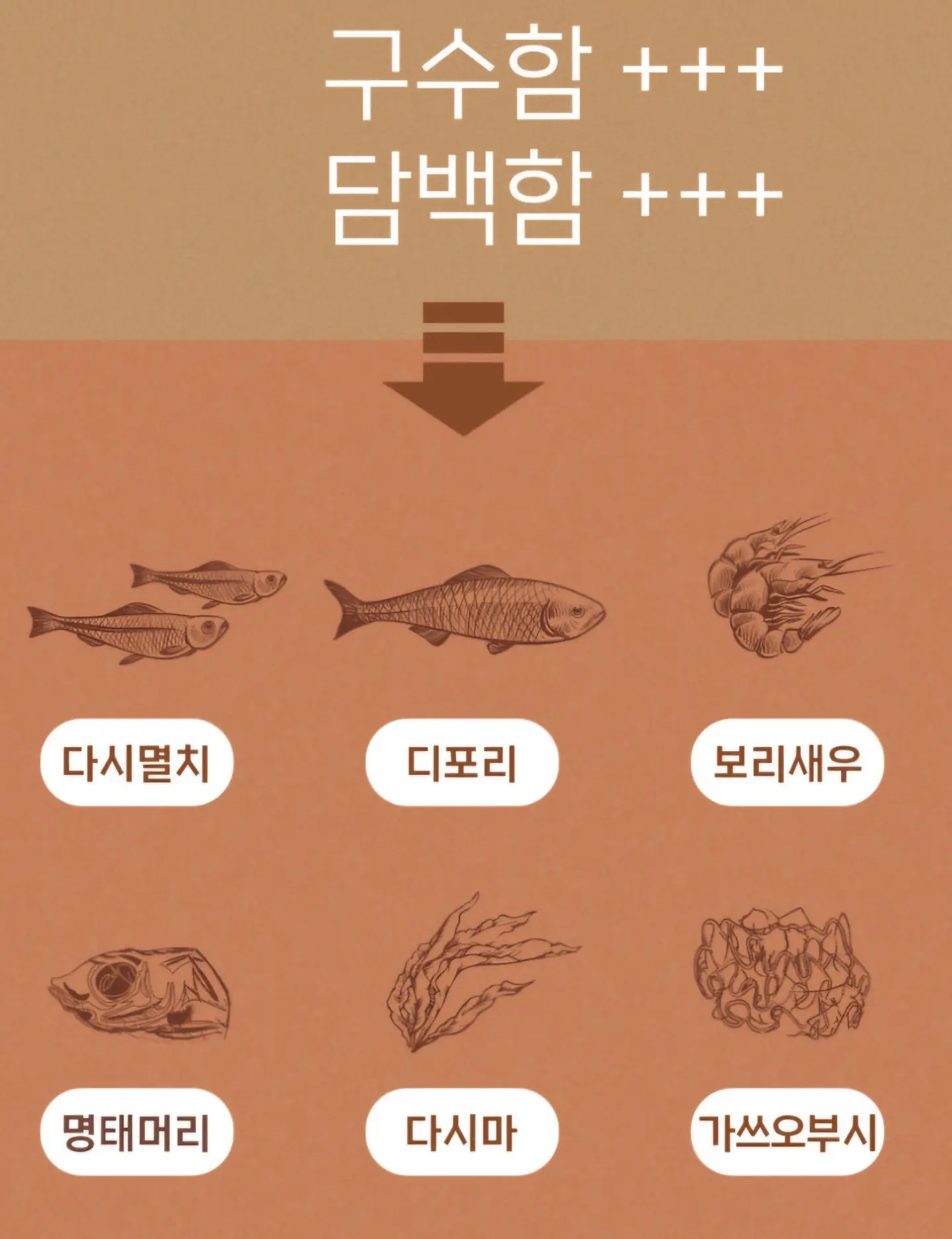 리플후드셔츠 6