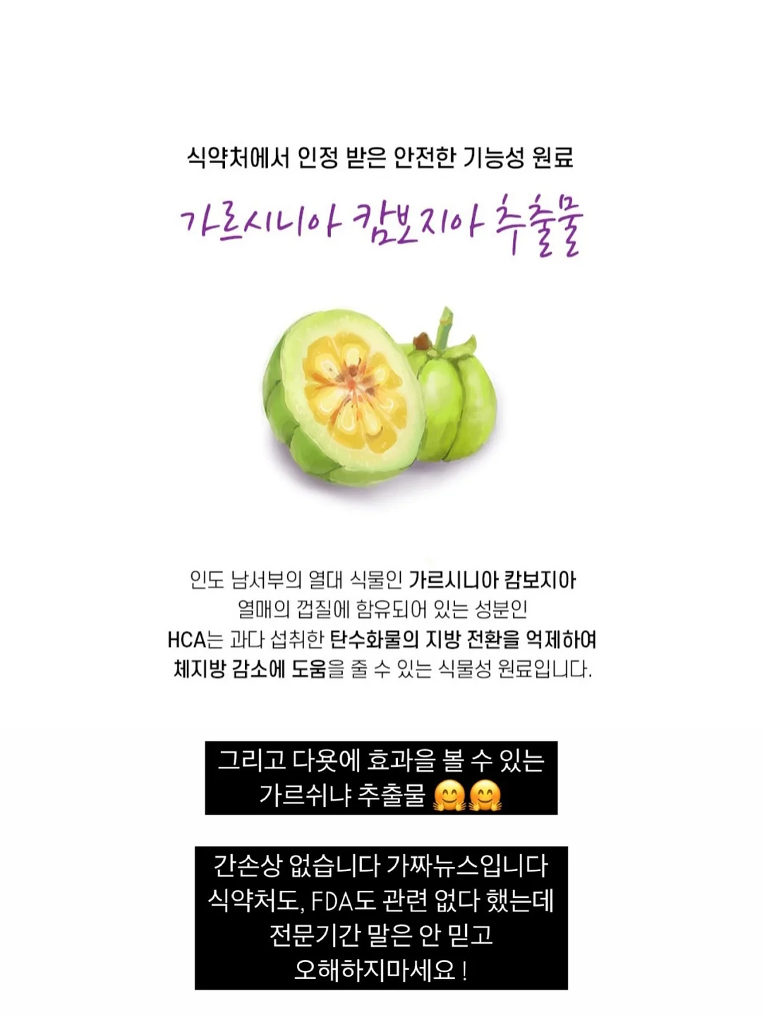 게맛살 또띠아 랩 17