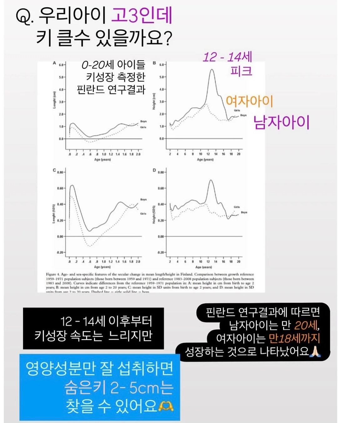 체플 별도트 줄누빔 원단 12