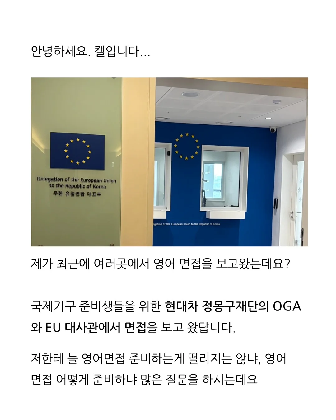 리안 플릭 유모차 2