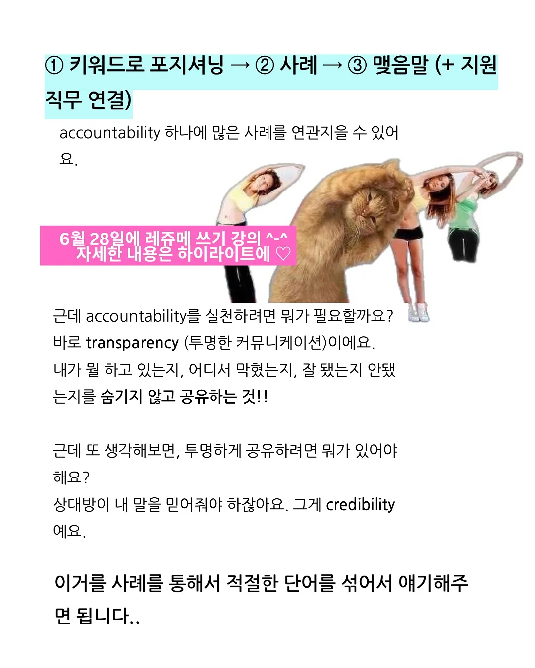 리안 플릭 유모차 8