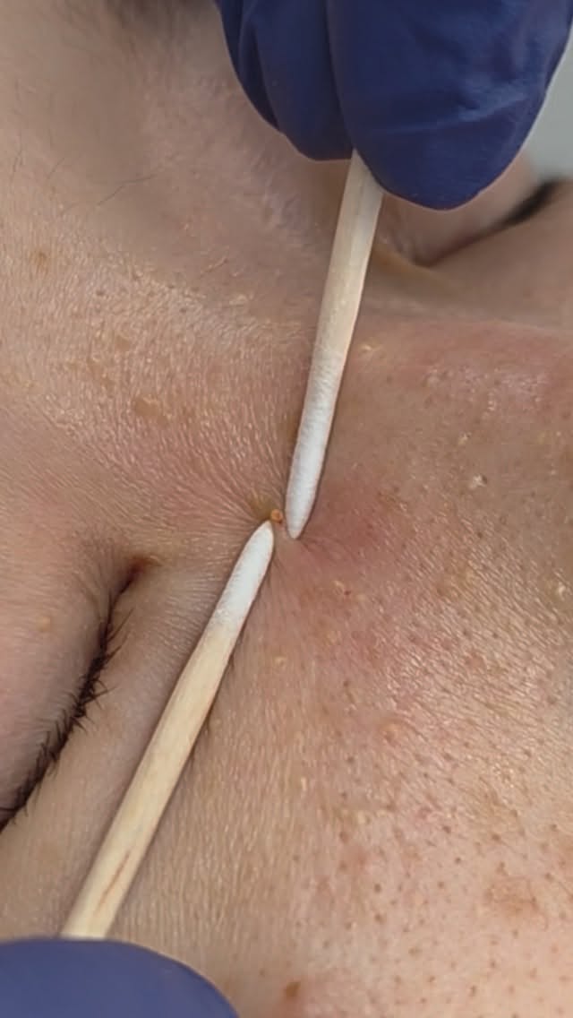 부츠컷 팬츠