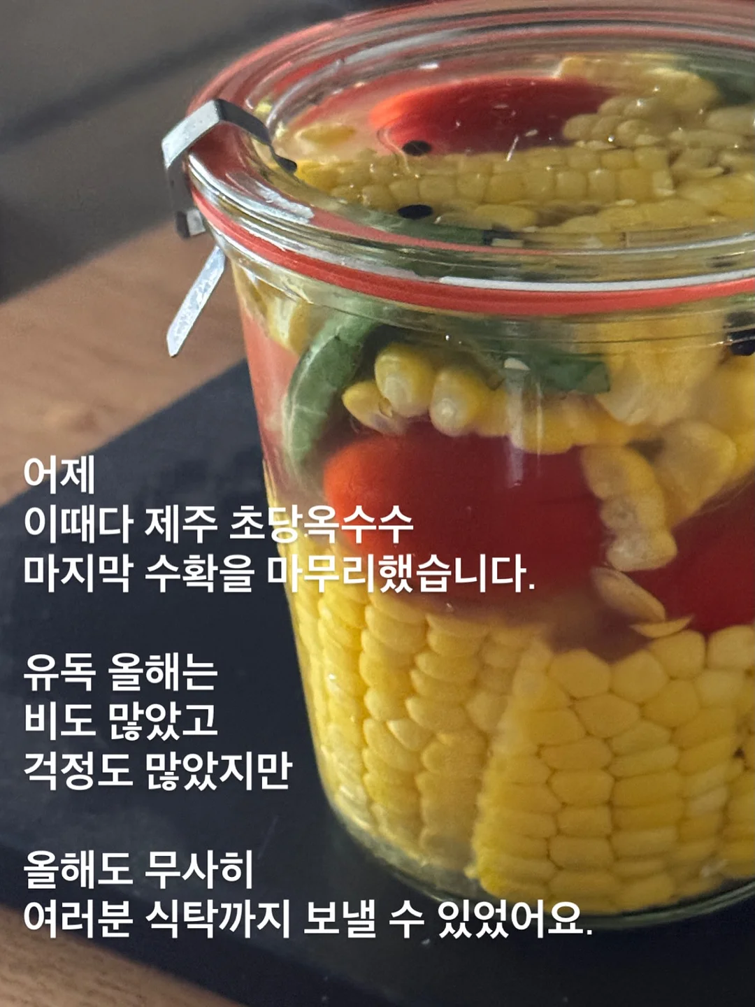 슬림한 가디건 세트 3