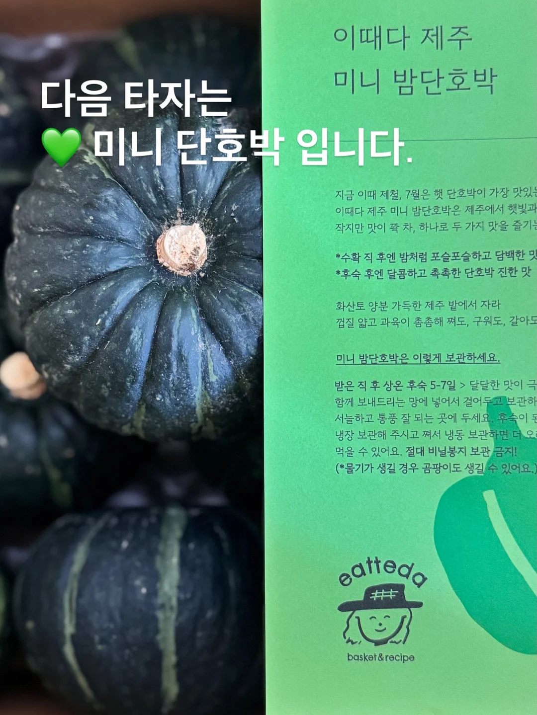 슬림한 가디건 세트 9