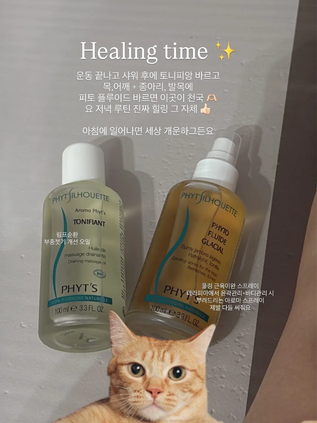장사의신 순살감자탕 7
