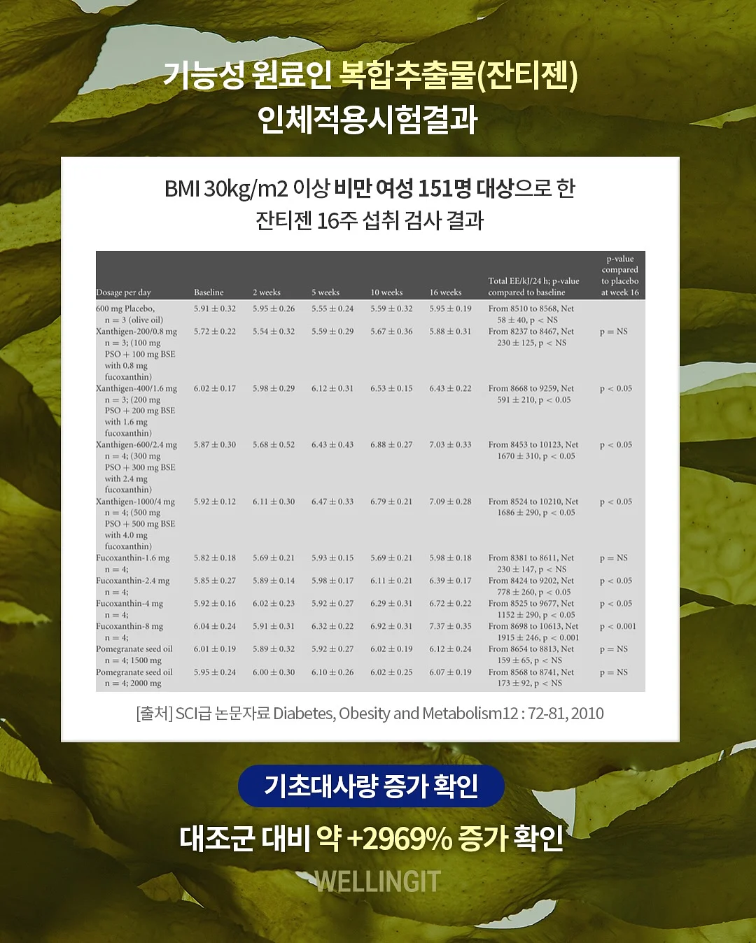 남녀공용 꼼데 티셔츠 12