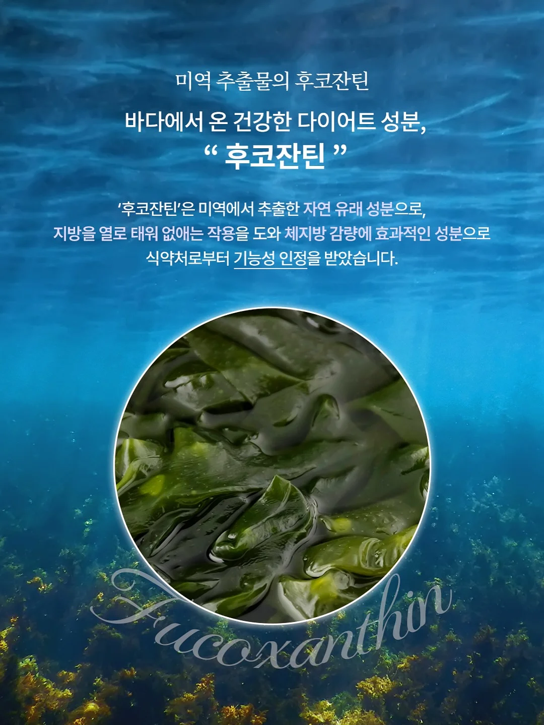 남녀공용 꼼데 티셔츠 8