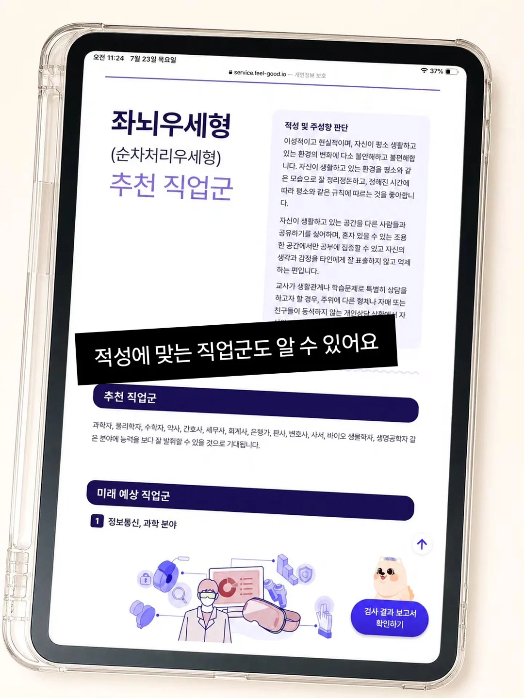 세트 6
