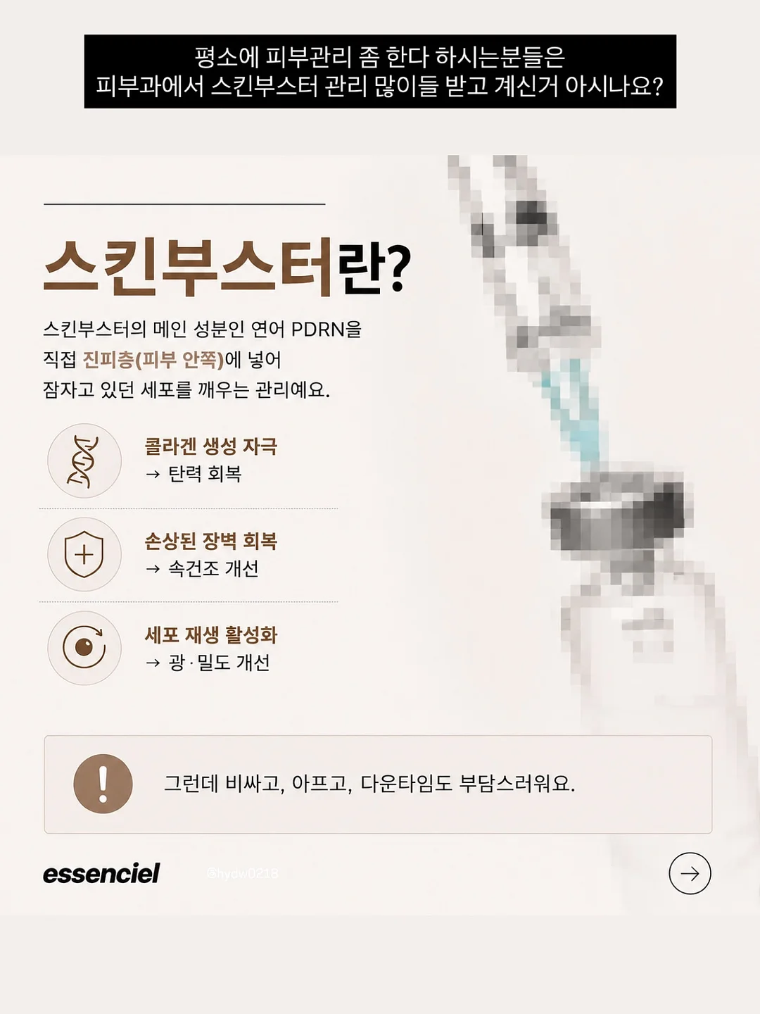 틸란시아 미틀라엔시스 sp. 3