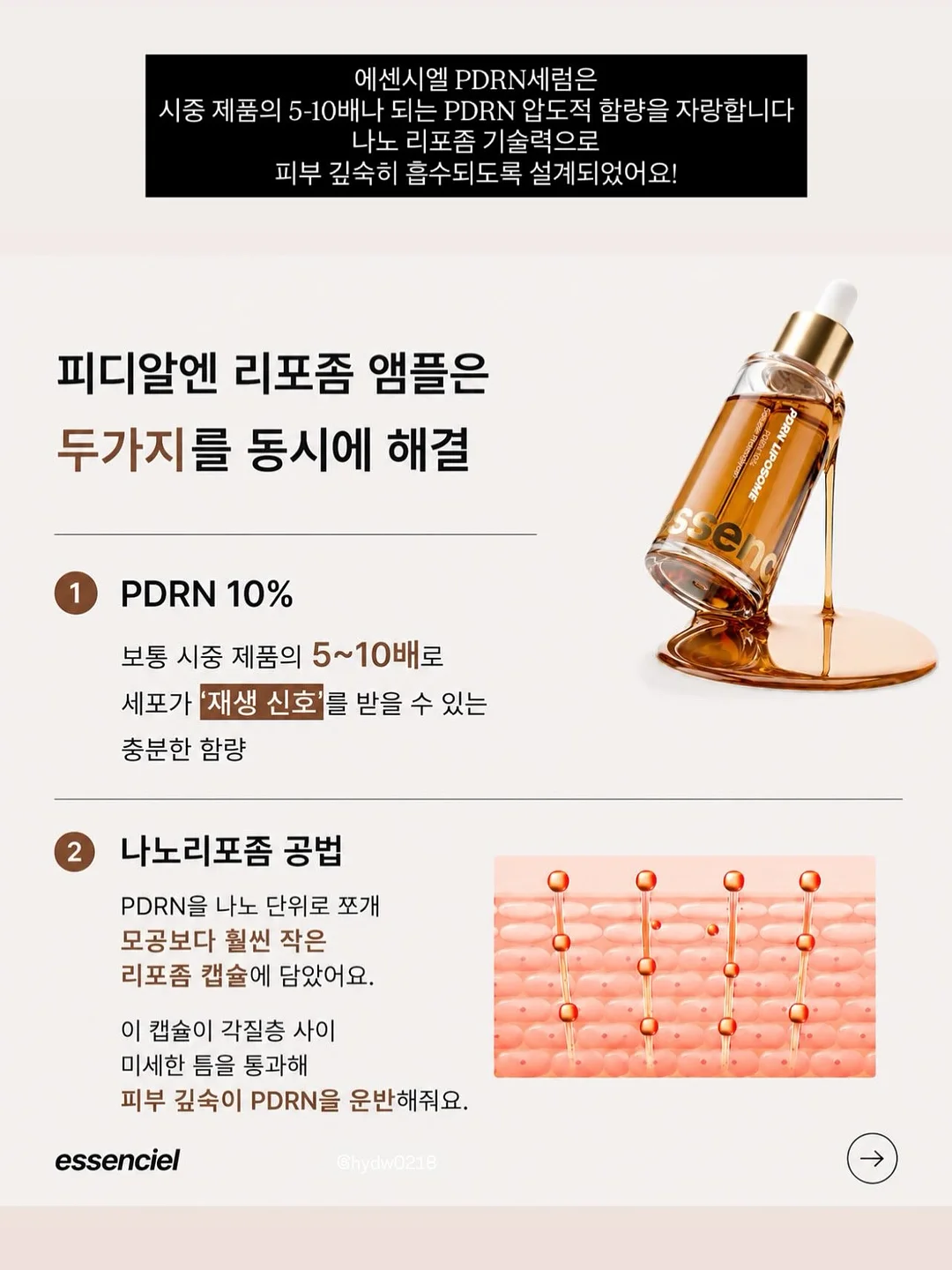 틸란시아 미틀라엔시스 sp. 6