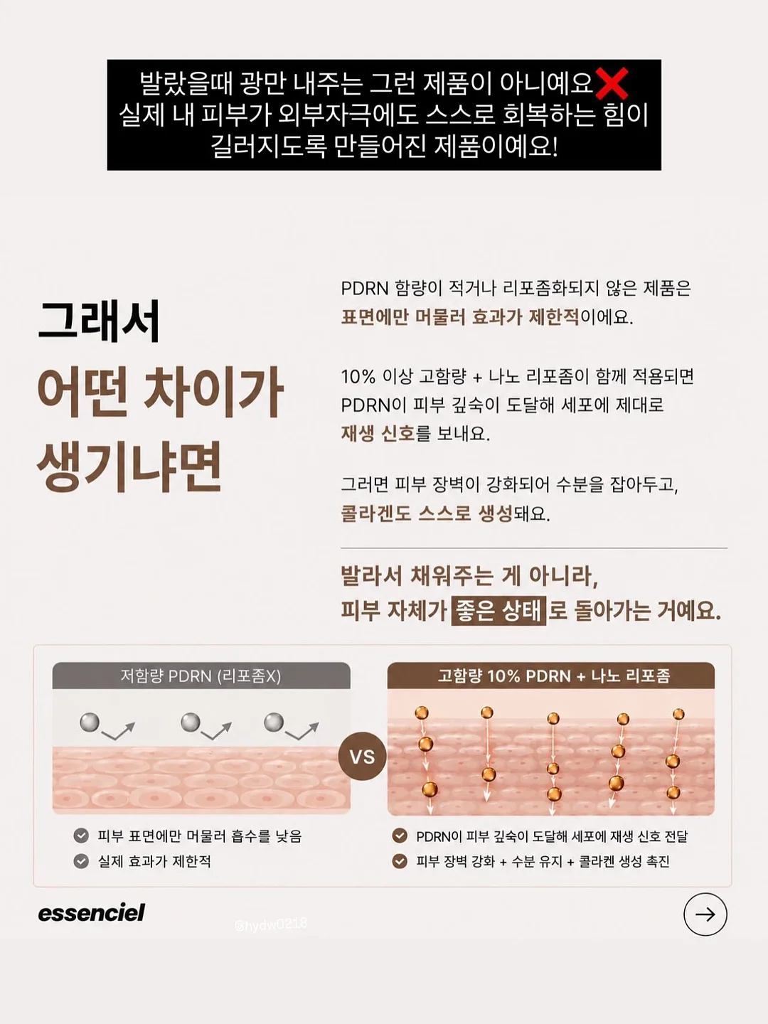 틸란시아 미틀라엔시스 sp. 7