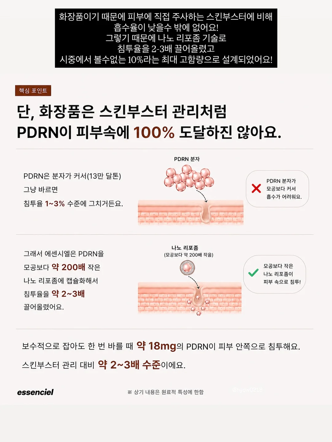 틸란시아 미틀라엔시스 sp. 10